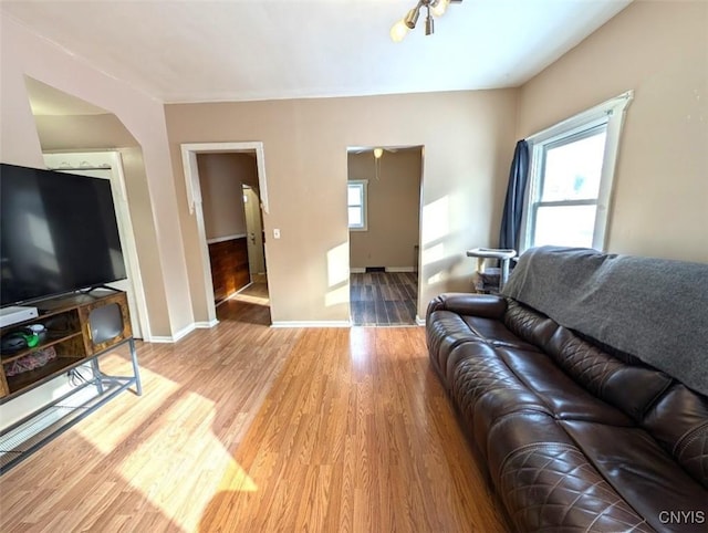 living room featuring a wealth of natural light and light hardwood / wood-style flooring