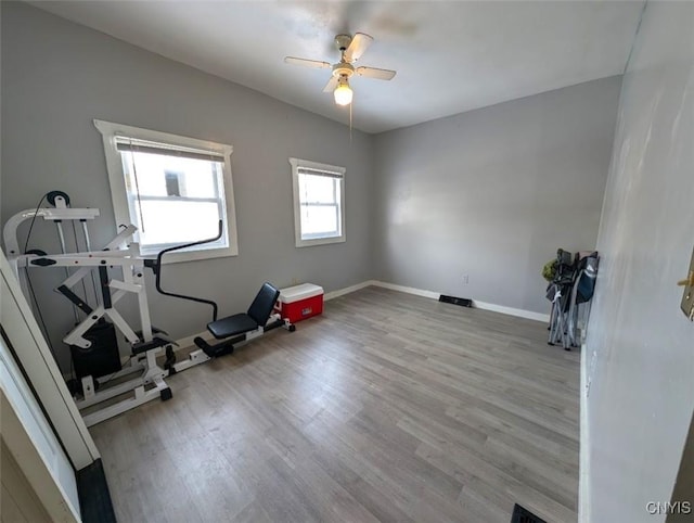 workout area with light hardwood / wood-style flooring and ceiling fan