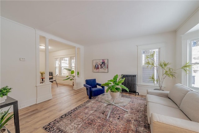 living room with decorative columns, plenty of natural light, radiator, and light hardwood / wood-style floors