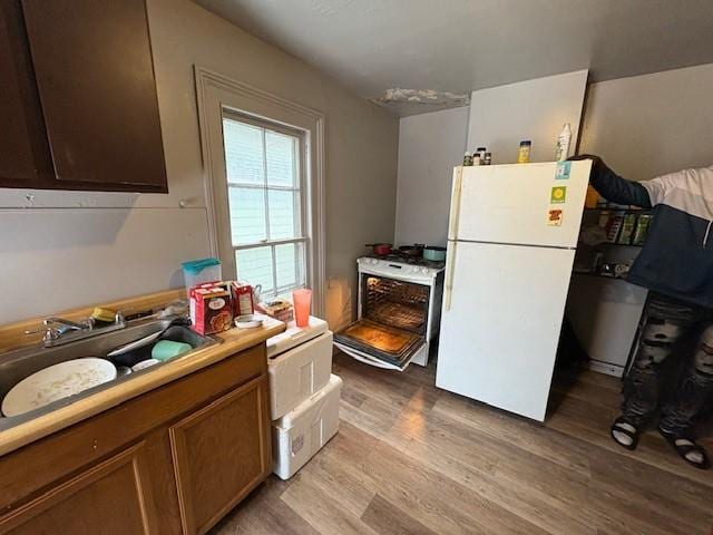 kitchen with white fridge, sink, and light hardwood / wood-style floors