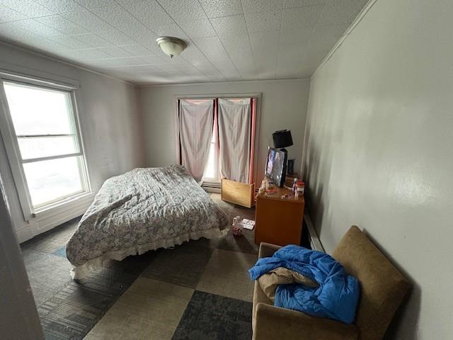 bedroom featuring crown molding and multiple windows