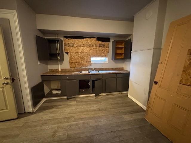 kitchen featuring wood-type flooring and sink