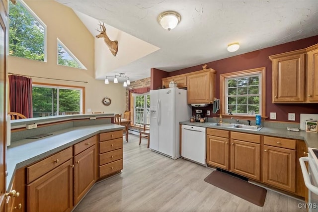 kitchen featuring sink, white appliances, and light hardwood / wood-style floors