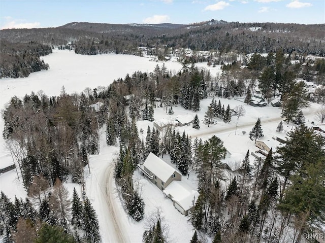 snowy aerial view with a mountain view