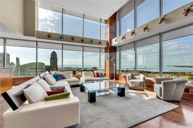 sunroom with a water view and a healthy amount of sunlight