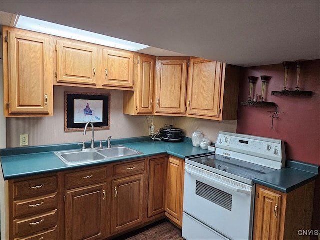 kitchen featuring dark hardwood / wood-style flooring, sink, and white range with electric stovetop