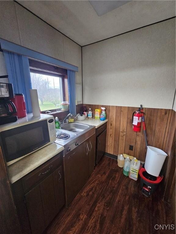 kitchen featuring dark wood-type flooring, sink, and wooden walls