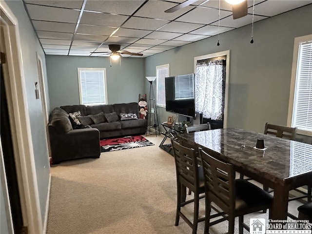 living room with carpet, a paneled ceiling, and ceiling fan