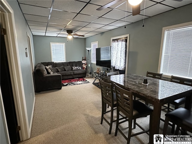 dining space with carpet floors, a paneled ceiling, and ceiling fan