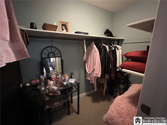 spacious closet featuring carpet