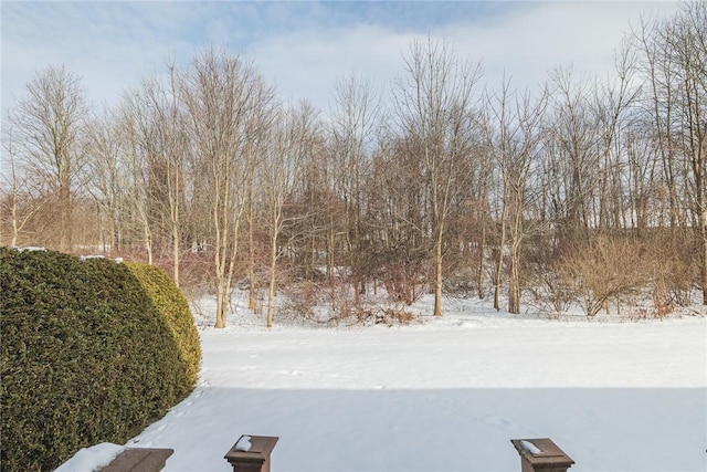 view of yard layered in snow