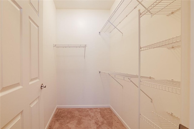 walk in closet featuring light carpet