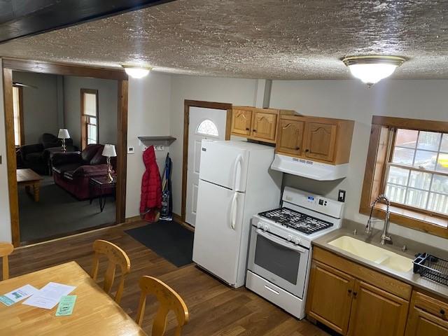 kitchen featuring white appliances, dark hardwood / wood-style floors, sink, and a textured ceiling