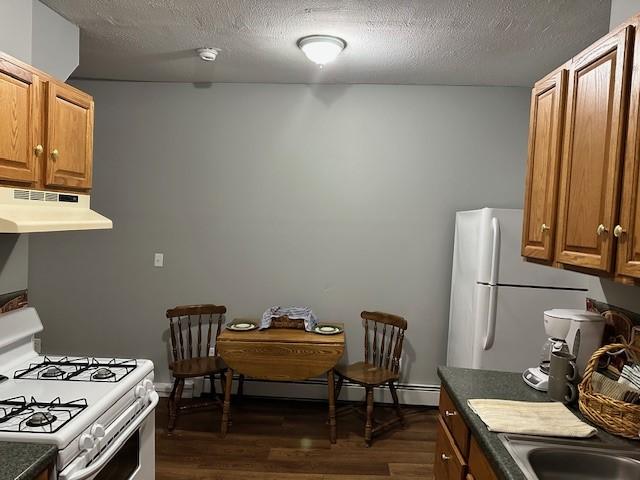 kitchen featuring sink, white appliances, a baseboard heating unit, a textured ceiling, and dark hardwood / wood-style flooring