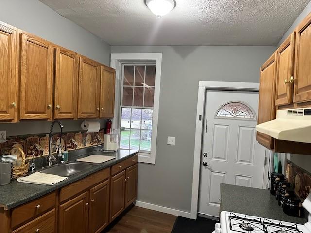 kitchen with dark hardwood / wood-style floors, sink, a textured ceiling, and stove