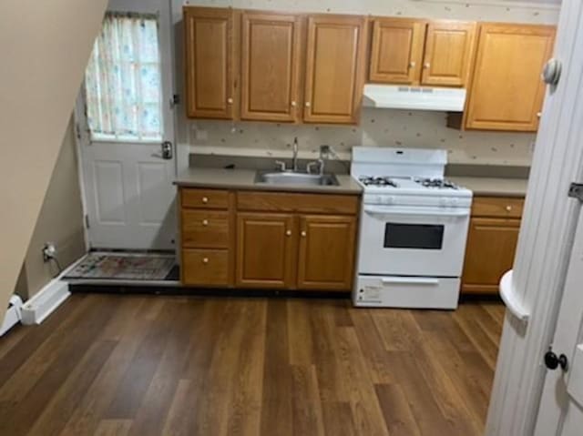 kitchen with dark hardwood / wood-style flooring, sink, and white range with gas stovetop