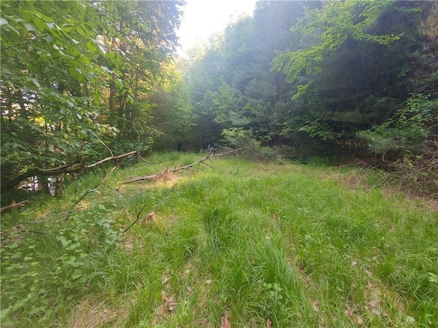 0 Peas Eddy Rd, Hancock NY, 13783 land for sale