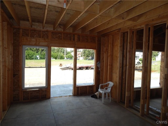 miscellaneous room with plenty of natural light