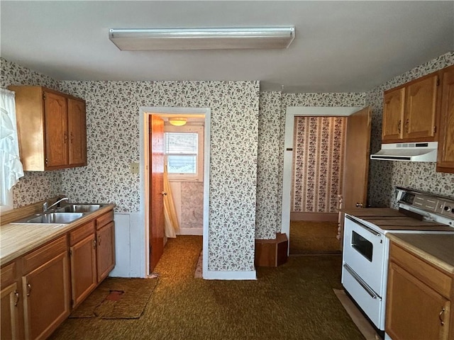 kitchen with electric stove, sink, and dark colored carpet