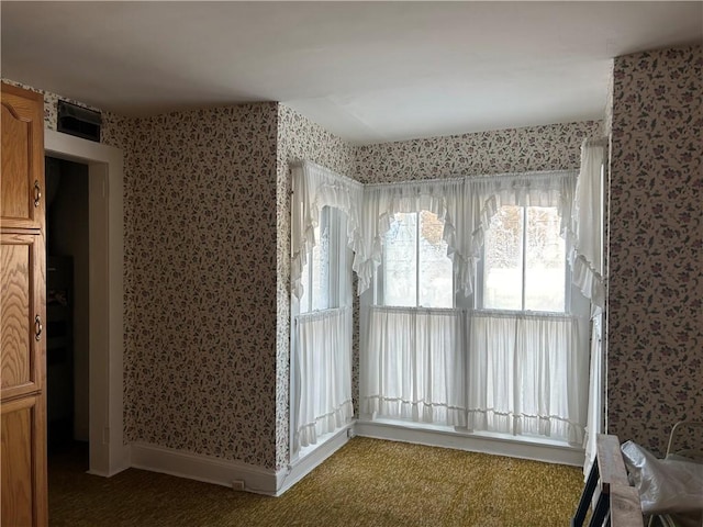 spare room with carpet floors