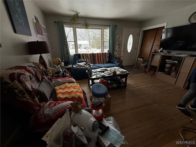 living room featuring hardwood / wood-style floors