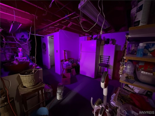 basement with white refrigerator