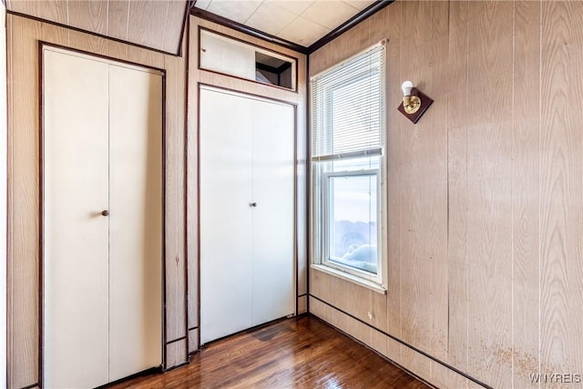 interior space with multiple windows, a closet, dark hardwood / wood-style floors, and wood walls