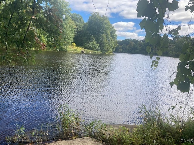 view of water feature