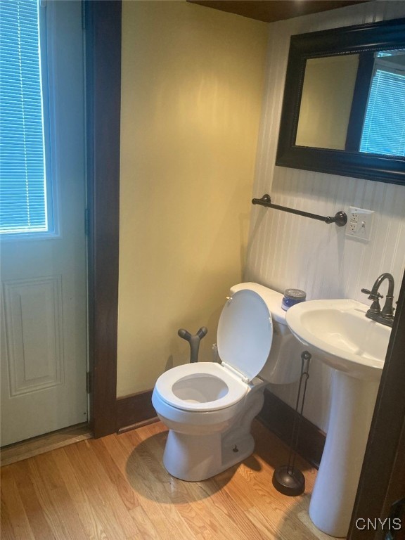 bathroom with wood-type flooring and toilet