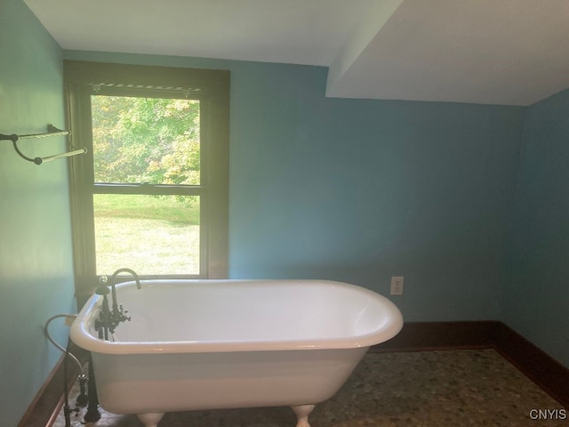 bathroom with a wealth of natural light and a washtub