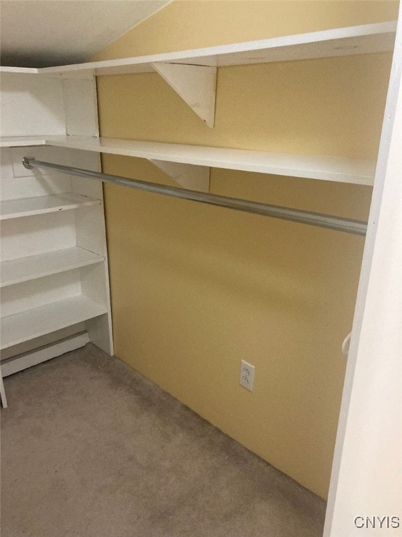 spacious closet featuring light carpet