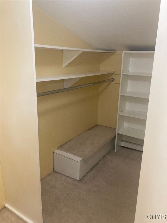 walk in closet with light carpet