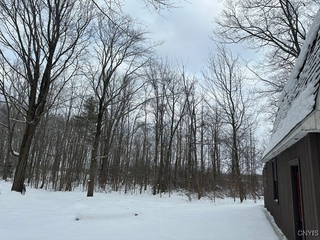 view of snowy yard