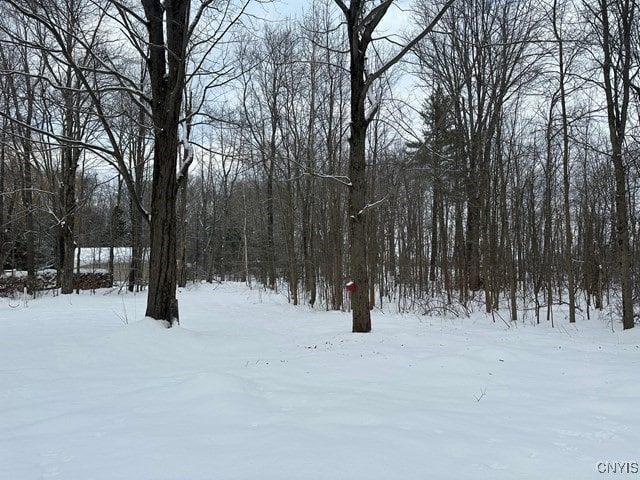 view of yard layered in snow