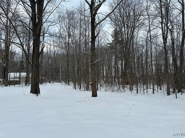 view of yard layered in snow