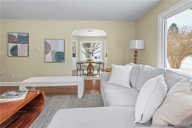 living room with hardwood / wood-style flooring and plenty of natural light