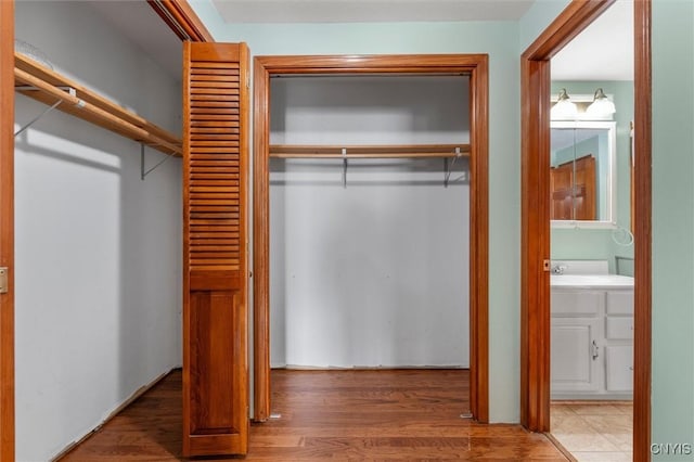 closet featuring sink