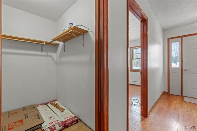 spacious closet featuring light hardwood / wood-style flooring