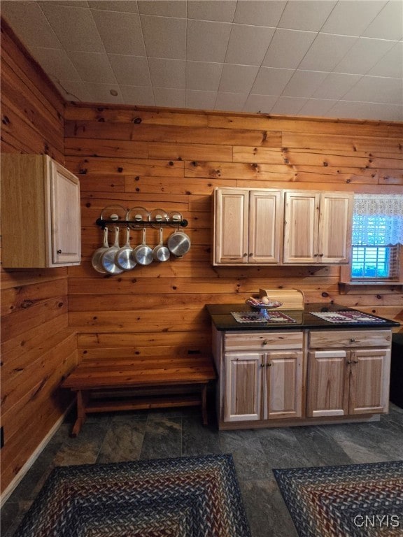 kitchen with wooden walls and light brown cabinets