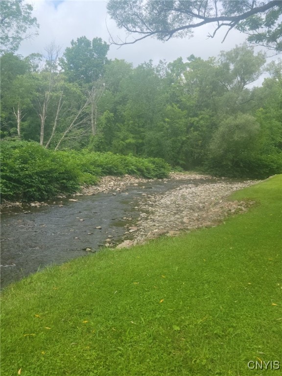 view of home's community with a yard