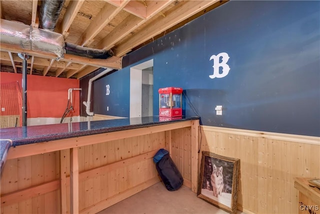 basement with wood walls