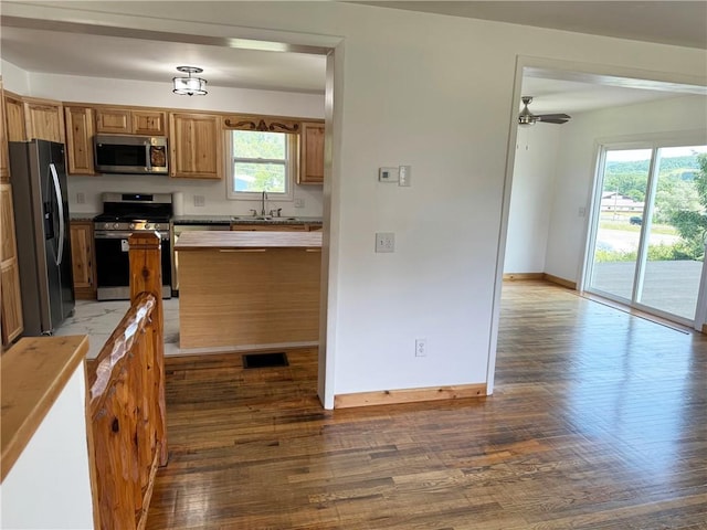 kitchen with wood-type flooring, appliances with stainless steel finishes, sink, and ceiling fan