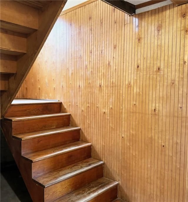 stairway with wood walls