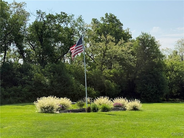 8805 Lane Rd, Ellisburg, NY 13650 - photo 12