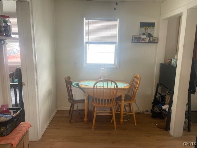 dining room with light hardwood / wood-style floors