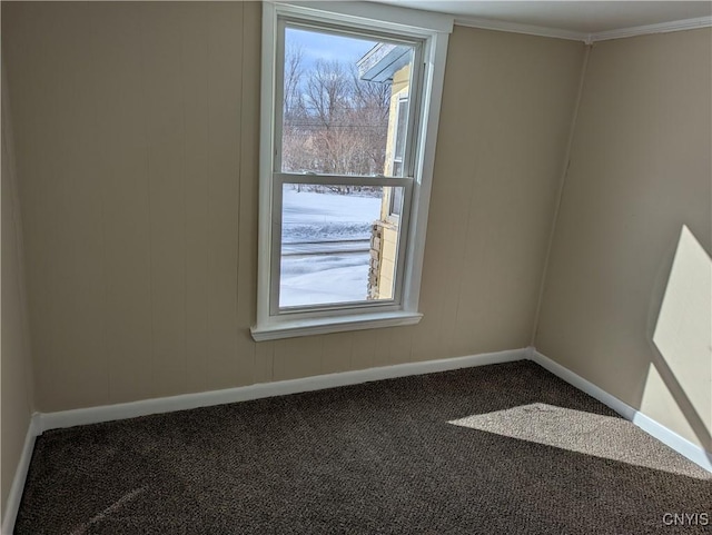 unfurnished room featuring ornamental molding and carpet flooring