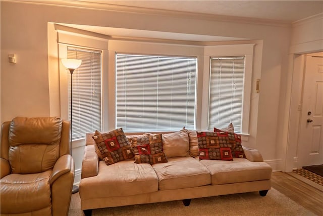 living room featuring ornamental molding and light hardwood / wood-style floors