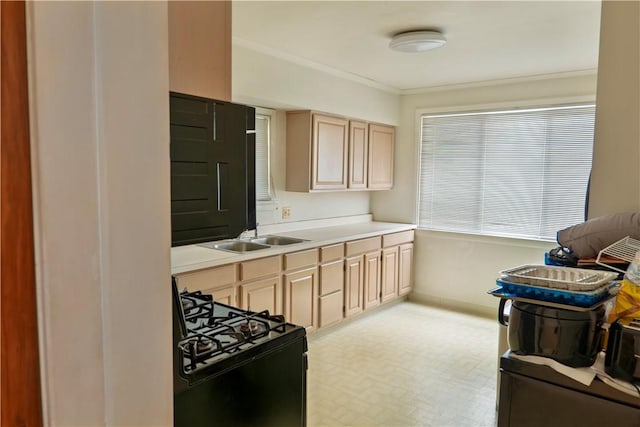 kitchen featuring ornamental molding, sink, light brown cabinetry, and black gas range