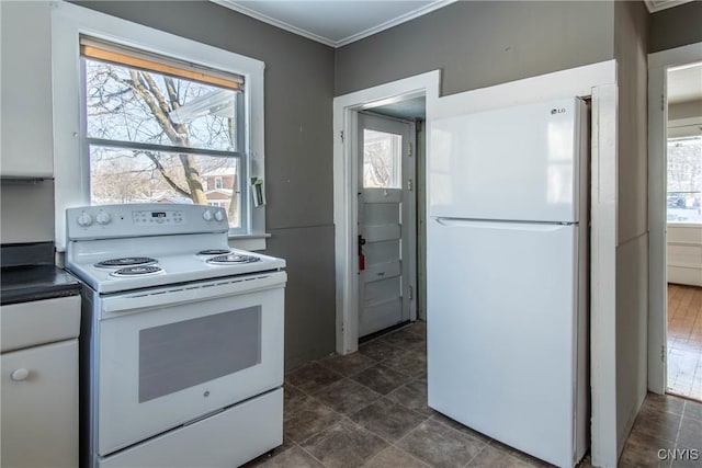 kitchen with white appliances, plenty of natural light, and ornamental molding