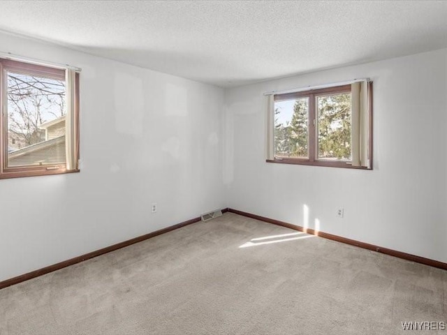 unfurnished room with light colored carpet and a textured ceiling